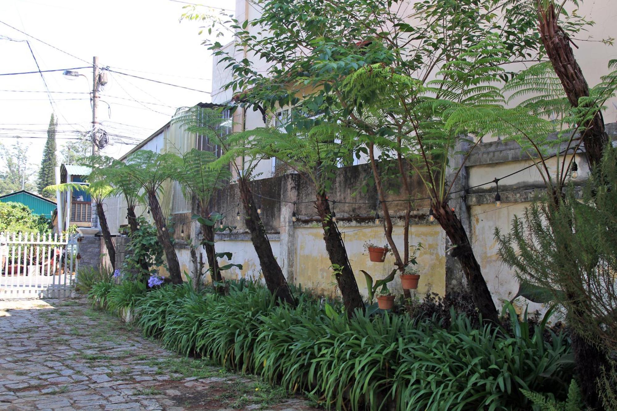 Homestaynhatuiminh Dalat Bagian luar foto